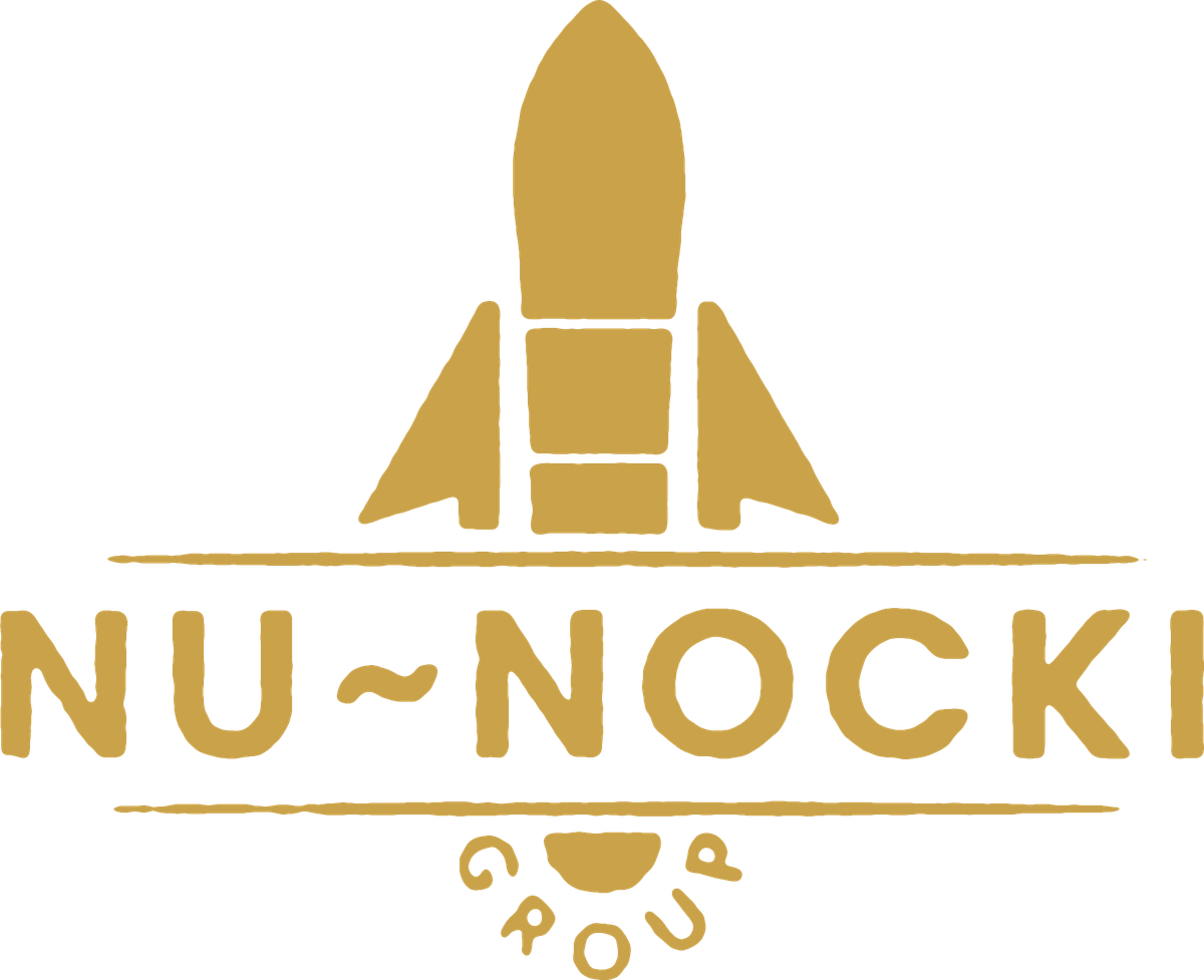 NU NOCKI GROUP logo