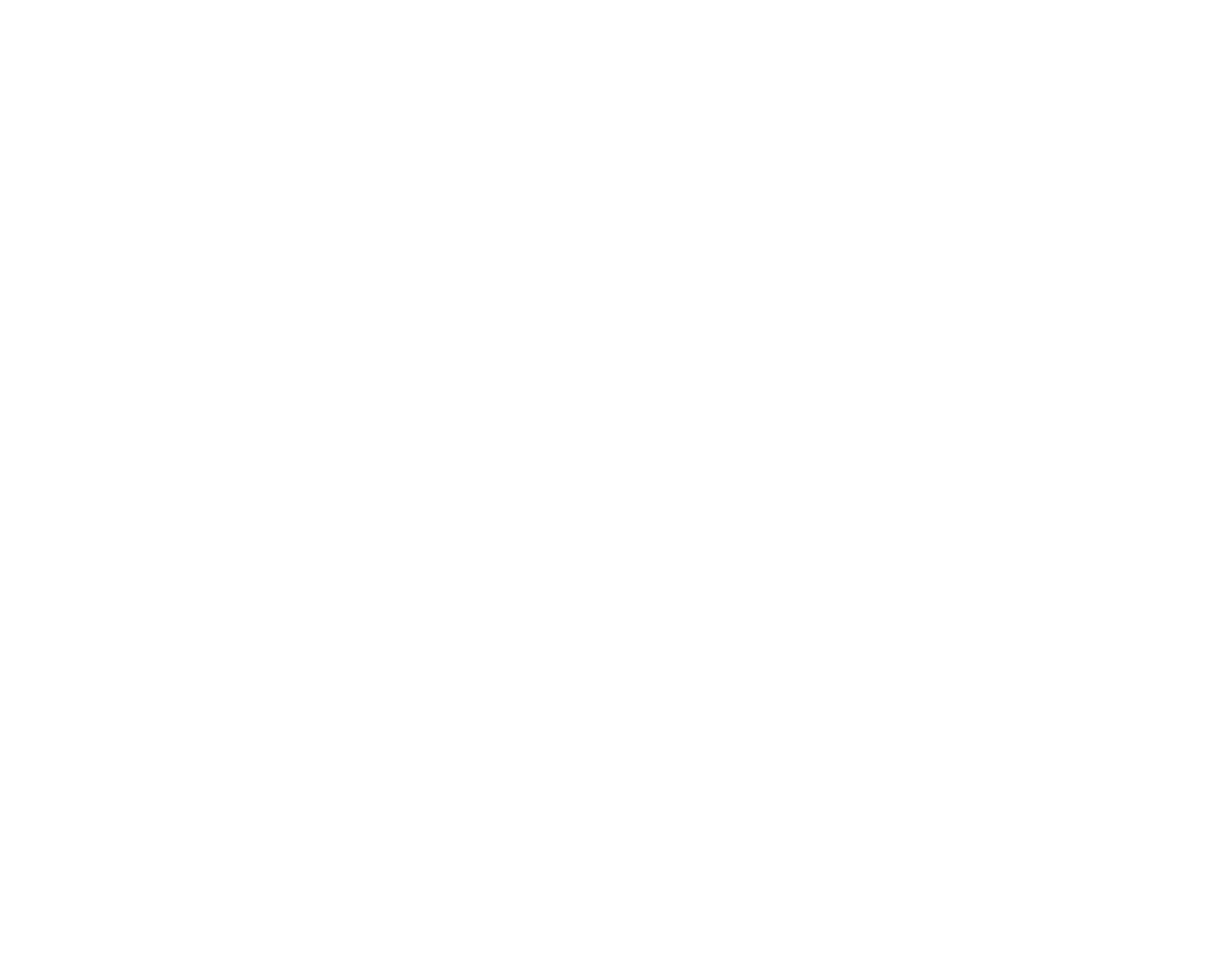 White NU NOCKI GROUP logo